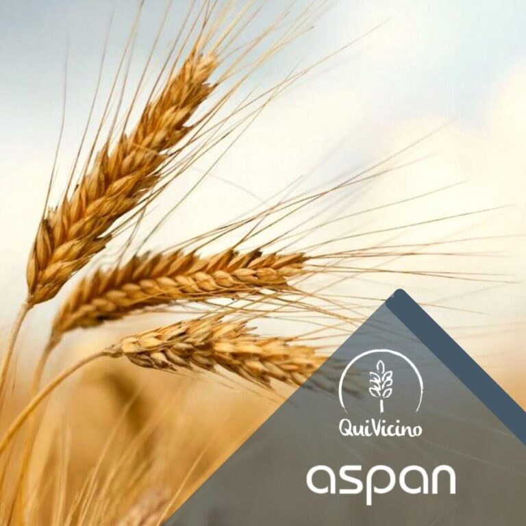 La Blockchain traccia la filiera lombarda del pane a km 0
